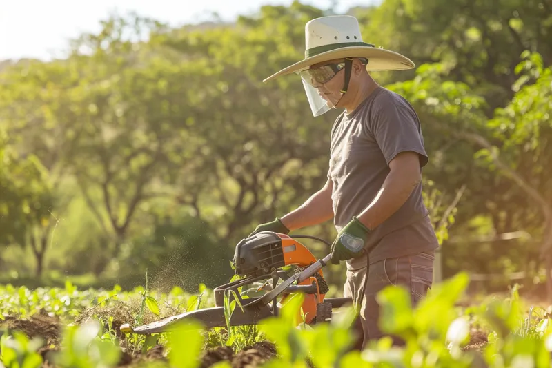 Desbrozadoras en la agricultura ecologica practicas y herramientas