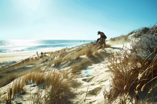 Desbrozadoras y su uso en la conservacion de dunas y playas